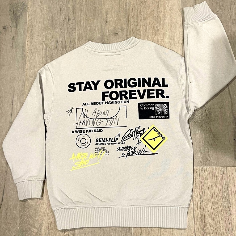 Zara Sweatshirt Boys